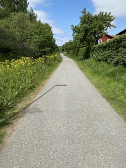 IMG_5693.jpeg
