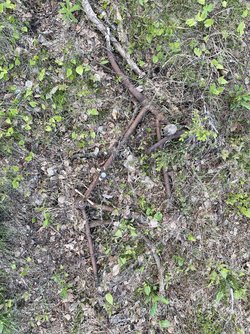 IMG_6948.jpeg