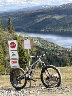 IMG_6917.jpeg
