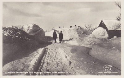 Mysinge efter snöstorm Mörb bokh.jpg
