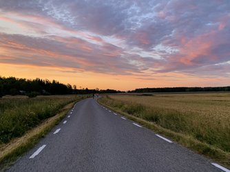 IMG_3185.jpeg