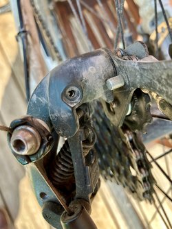 IMG_0855.jpeg