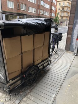 IMG_3977.jpeg