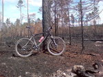 DSC00074.JPG