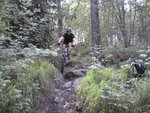 DSC00082.JPG