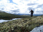 sommar2008 223.JPG