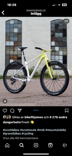 IMG_1401.png