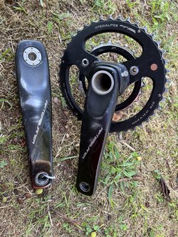 IMG_1022.jpeg