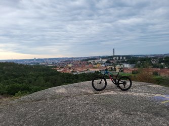 20230710_101147.jpg