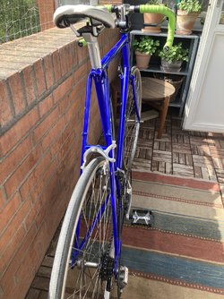 IMG_7932.JPEG