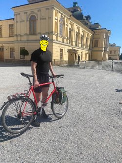 356521940_959768085230483_6881653574475788768_n.jpg