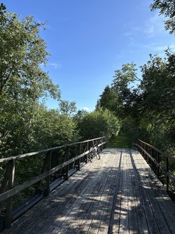IMG_0917.jpeg