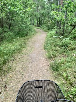IMG_9175.jpeg