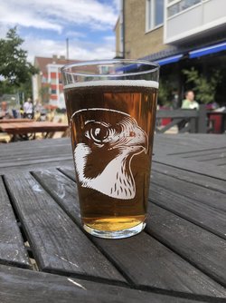 IMG_6296.jpeg