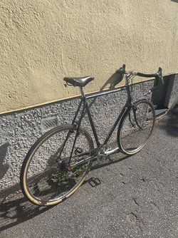IMG_9370.jpeg