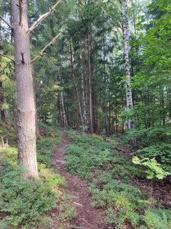 IMG_20230729_070856.jpg