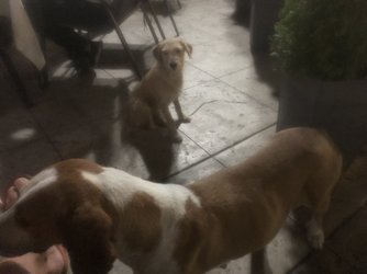 IMG_6676.jpeg