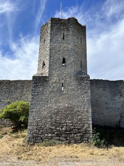 IMG_0223.jpeg