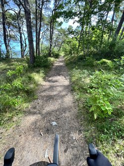 IMG_0216.jpeg