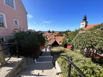 IMG_0225.jpeg