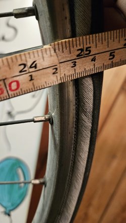 20230801_183135.jpg
