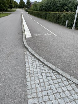 IMG_7800.jpeg