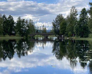 IMG_3353.jpeg