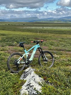 IMG_7920.jpeg