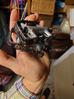 20230806_084543.JPG
