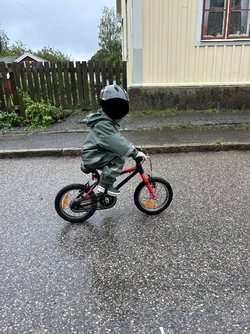 IMG_1475.jpeg