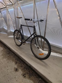 20230116_225035.JPG