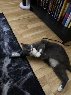 IMG_4884.jpeg