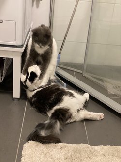 IMG_4387.jpeg