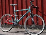bianchi.JPG