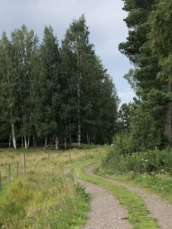 IMG_1185.jpeg