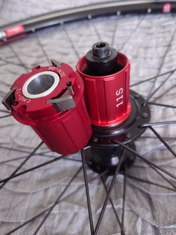 20230819_163320.JPG