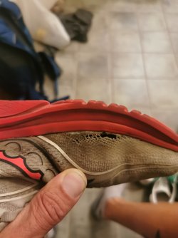 IMG_20230820_102907.jpg
