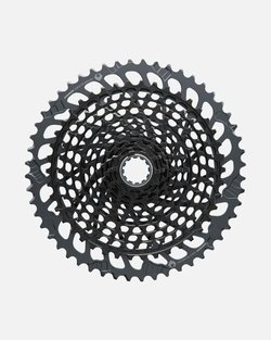 10010720_CS_SRAM_Eagle__XG-1295_12s_10-52.jpg