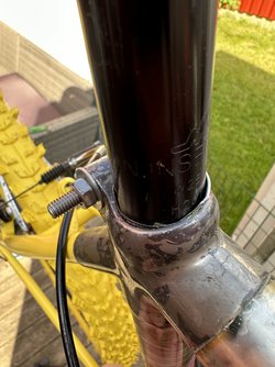 IMG_1310.jpeg