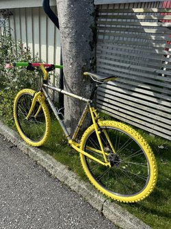IMG_1321.jpeg