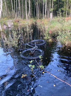 IMG_0767.jpeg