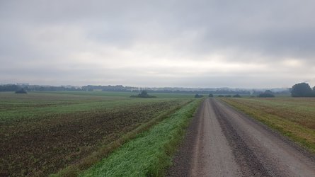 20230902_074919.jpg