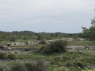 20230904b-002.jpg