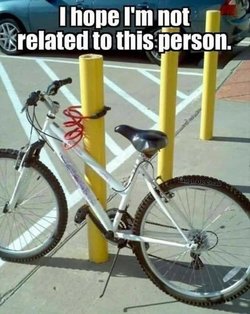FB_IMG_1693928887400.jpg