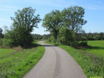 20230905b-019.jpg