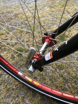 IMG_1255.jpeg