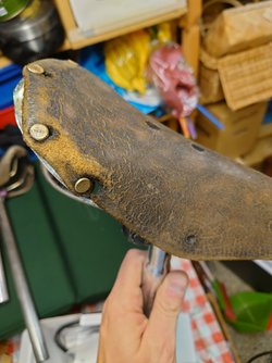 20230907_200217.JPG