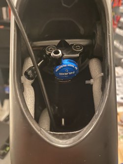 IMG_8291.jpeg