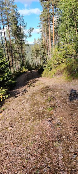 IMG_20230913_164652.jpg