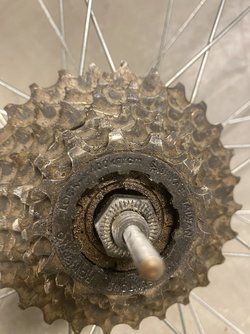 D6990AD2-D364-4B77-9B09-6E15C3B3303F.jpeg